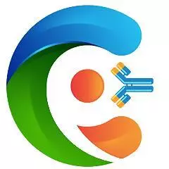 USERN_GROUP_logo